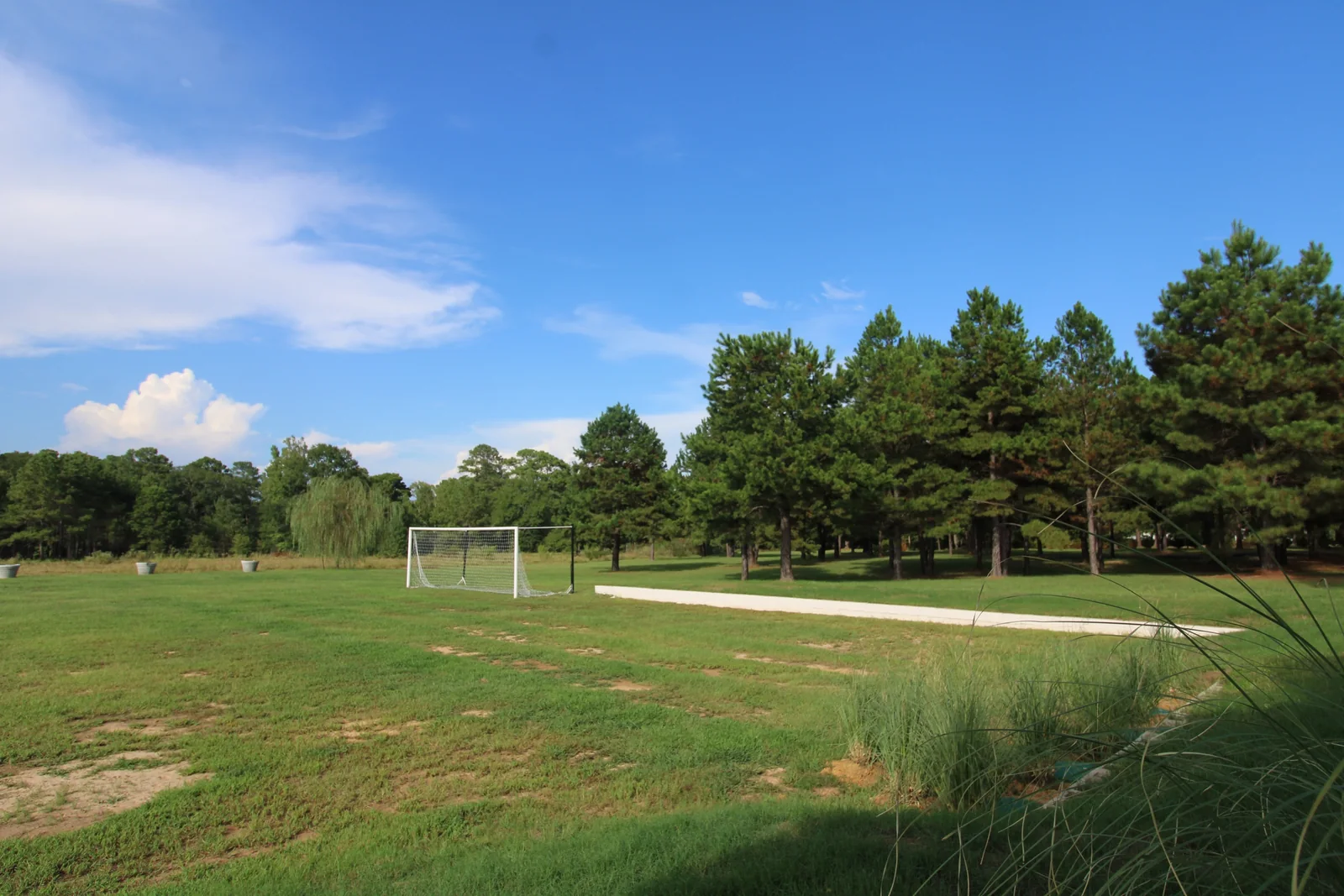 Wide green lawn with pine trees, blue sky, and ornamental grasses in the foreground