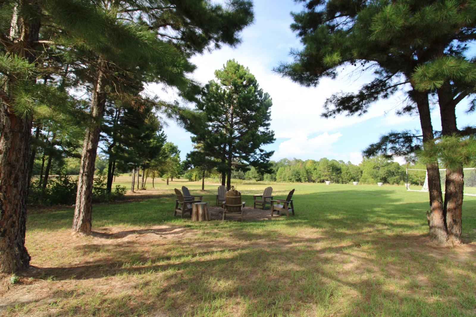 Outdoor chairs gathered beneath mature pines beside an open lawn