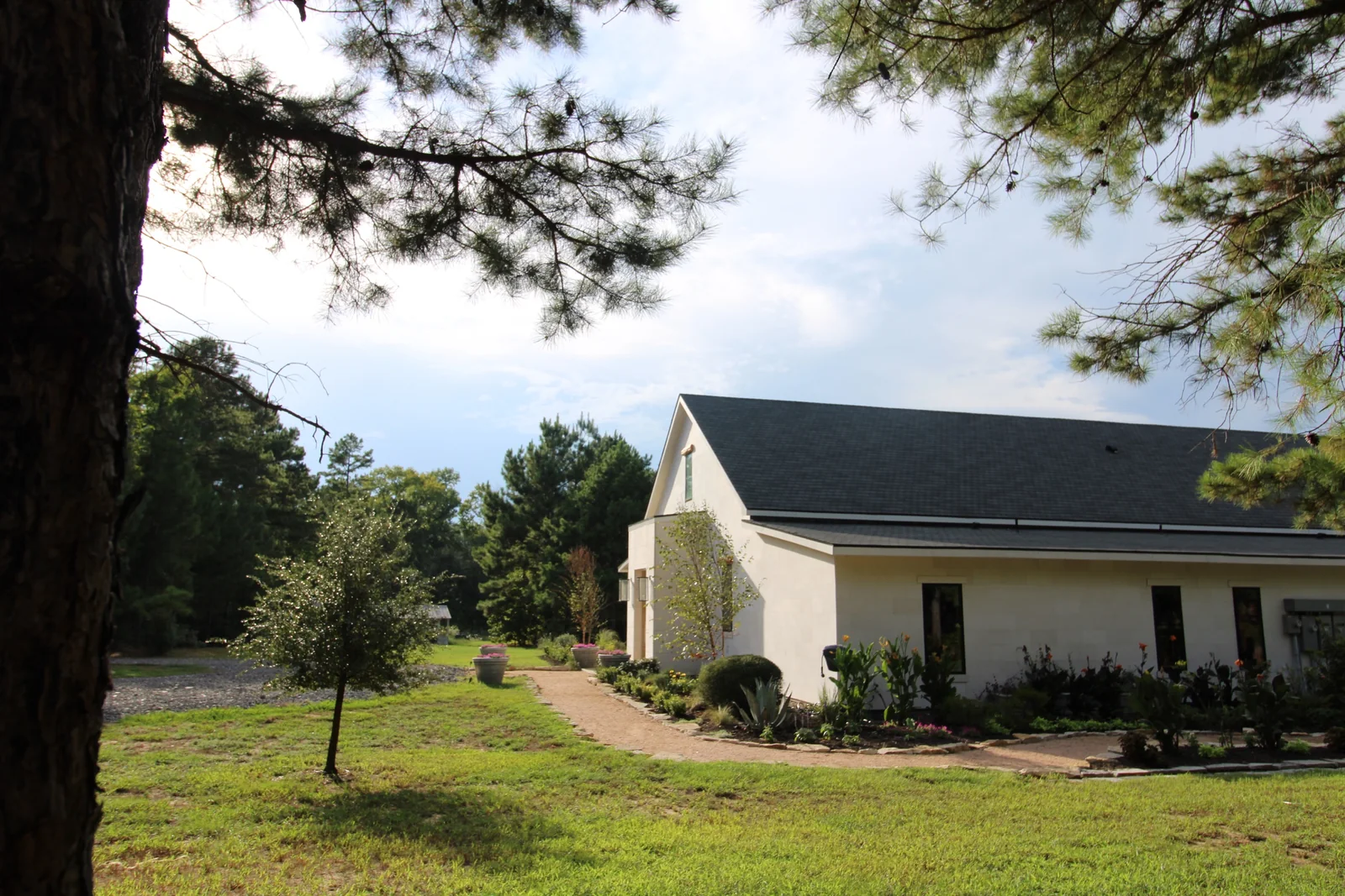 The gabled ranch home viewed between mature pines across the lawn