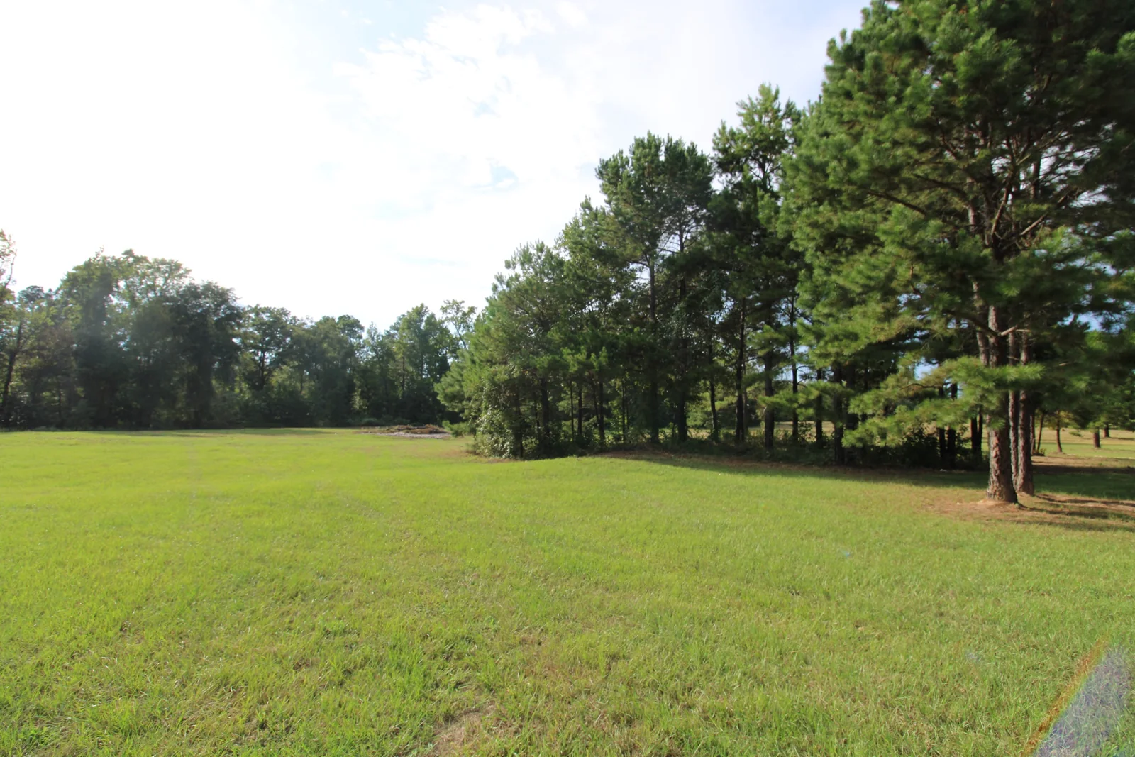 Open green lawn framed by mature pine trees at Ponderosa Ranch