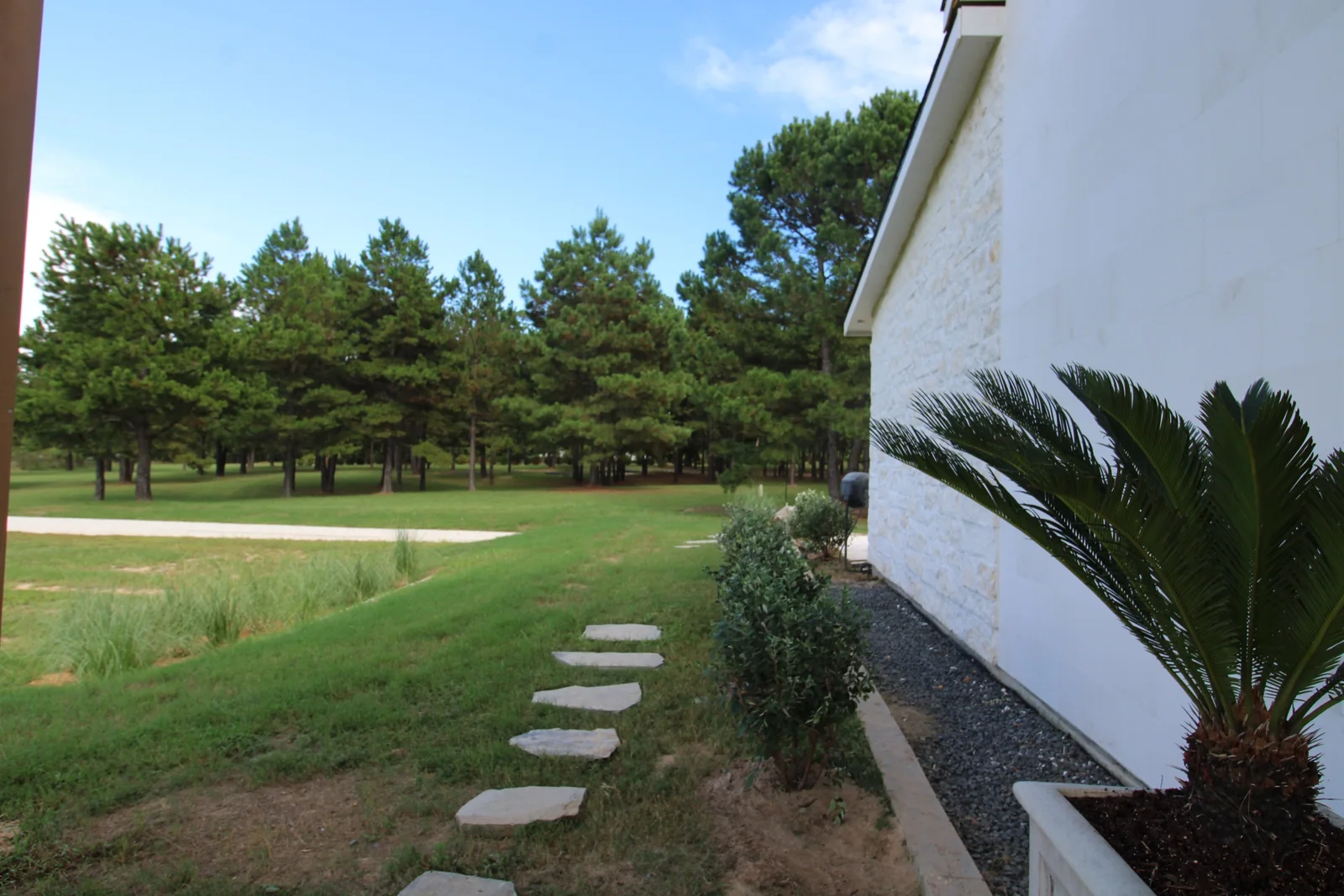 Pale stepping stones across grass beside the exterior wall and a potted cycad